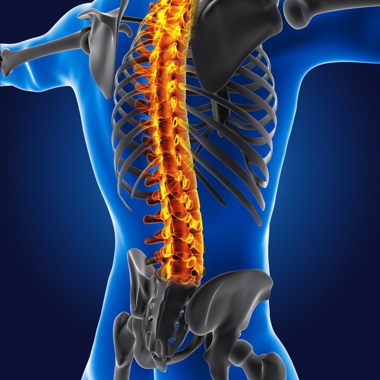3D medical man with skeleton spine highlighted